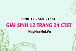 Giải Sinh 12 trang 25 Chân trời sáng tạo SGK